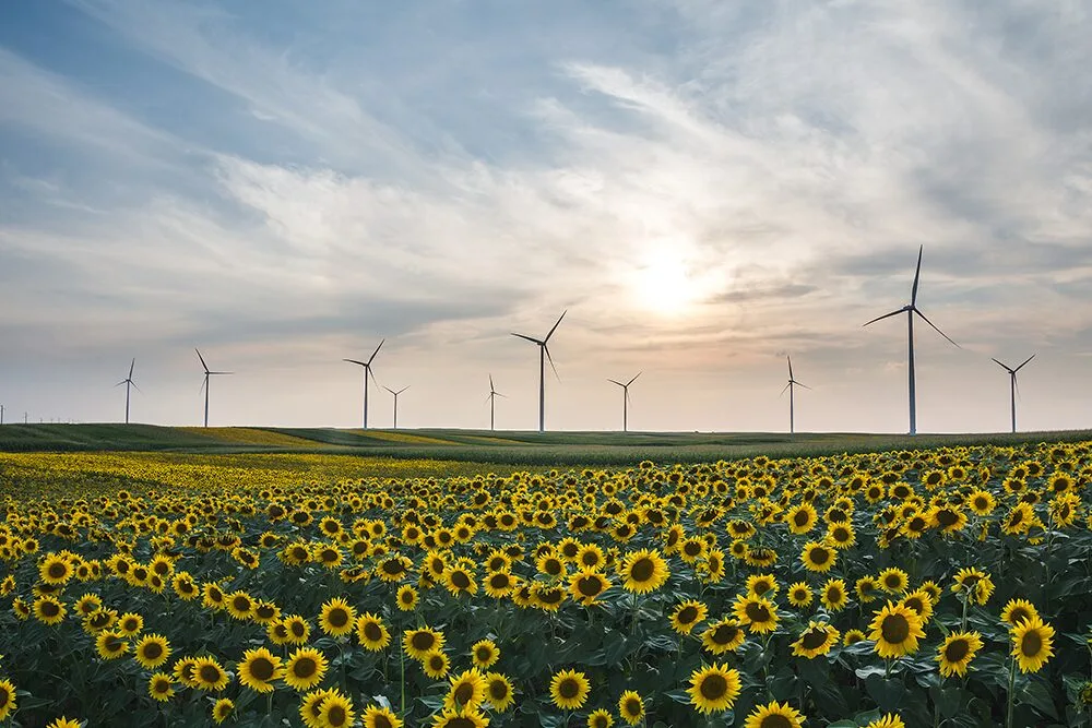Valoriser, recycler, retransformer : des solutions durables pour l’environnement